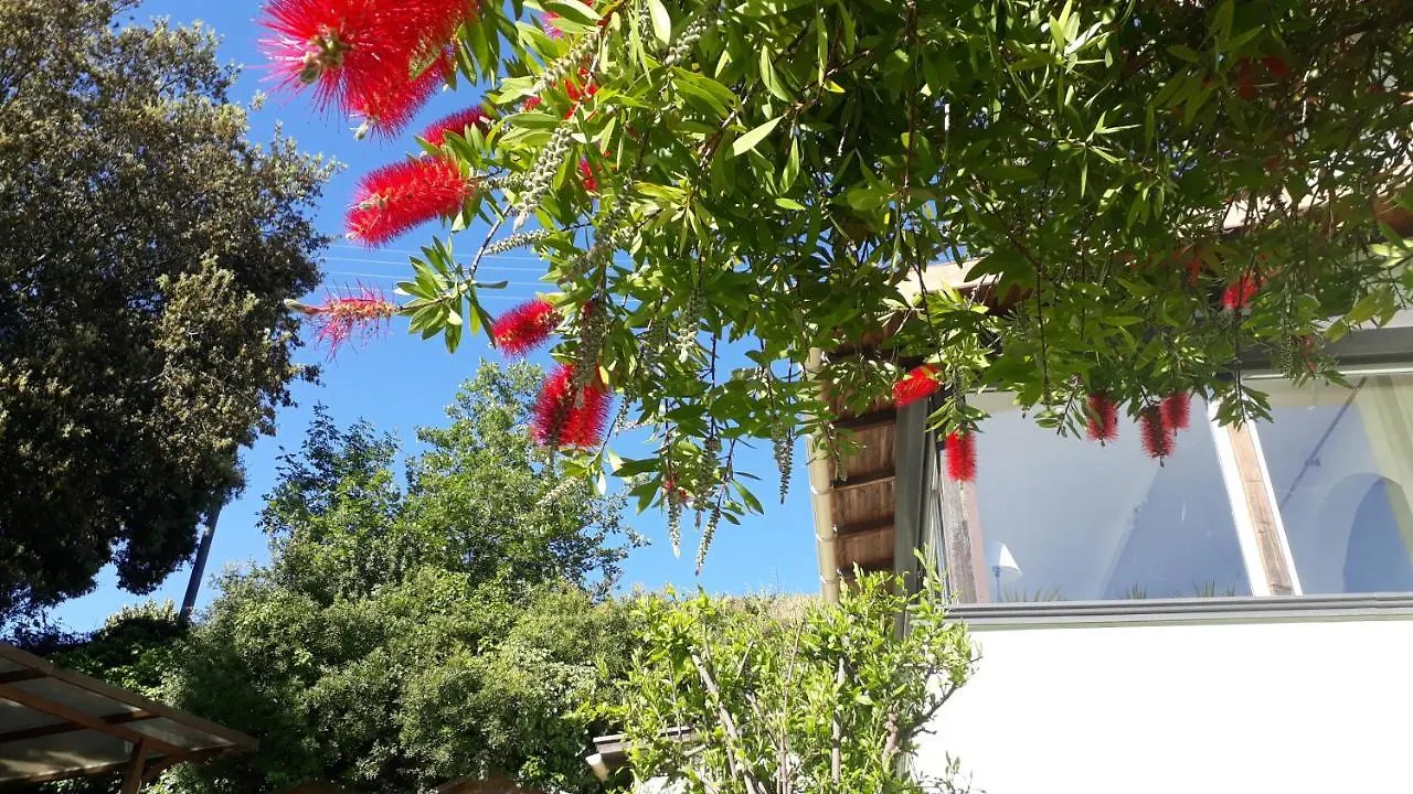 Holiday home Maison Mitoyenne 68M², 2 Pieces + Veranda, Jardin 100M² Avec Pergola, Vue Mer Nice France